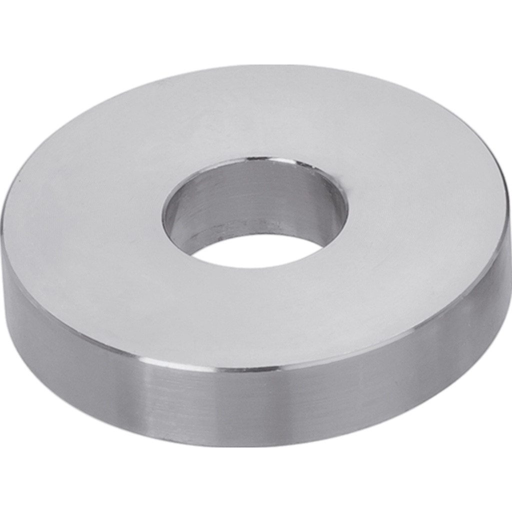 Support disc (V3036, VIGOR)