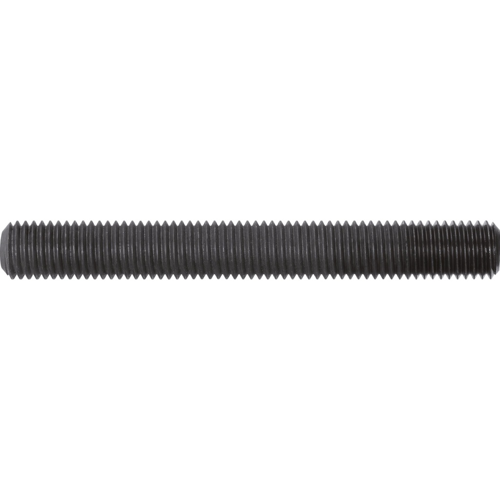Vilkties strypas V3140, VIGOR