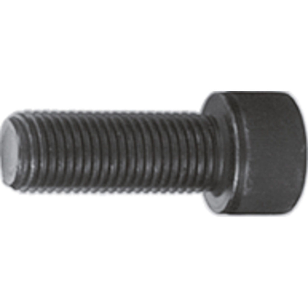 Screw M22 x 60 mm (V3263, VIGOR)