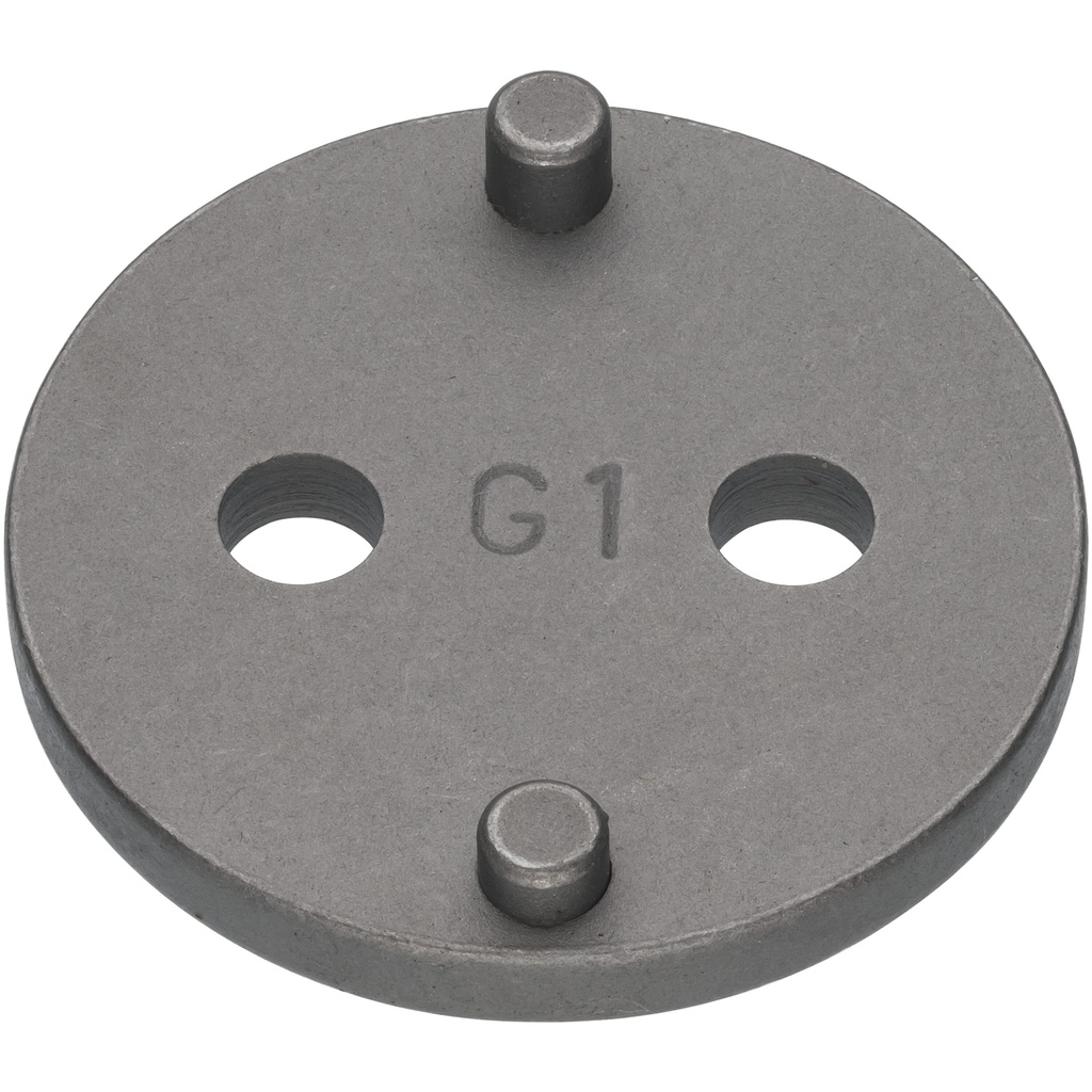 Pressure plate, G1 (V3760-G1, VIGOR)