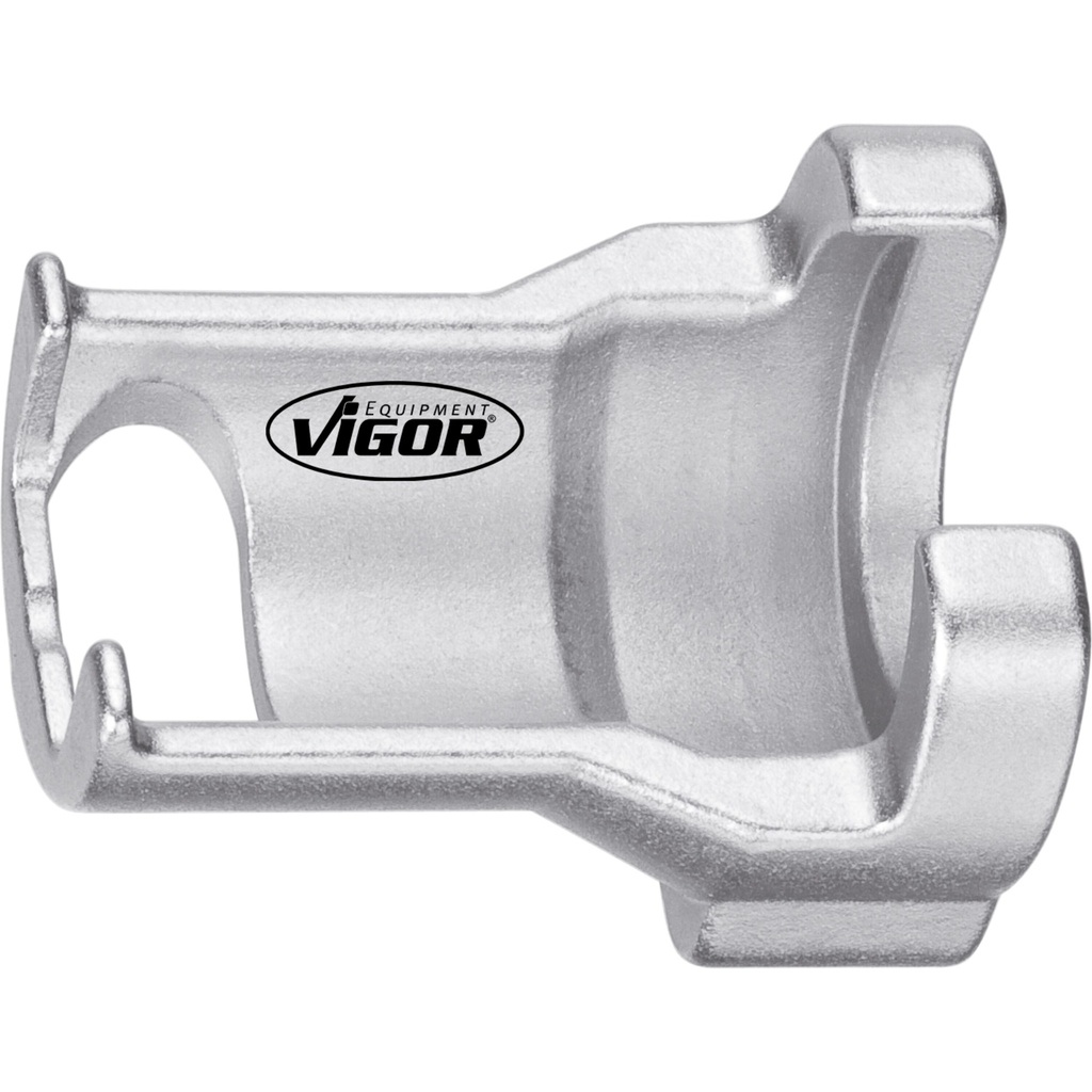 Satvērējs ∙ Nr. 6 (V4164, VIGOR)