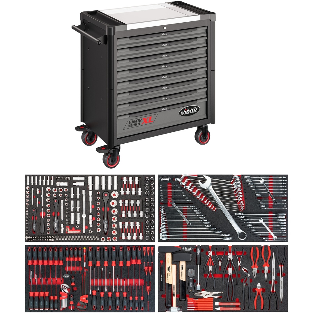 Series XL V4481-X/375, VIGOR