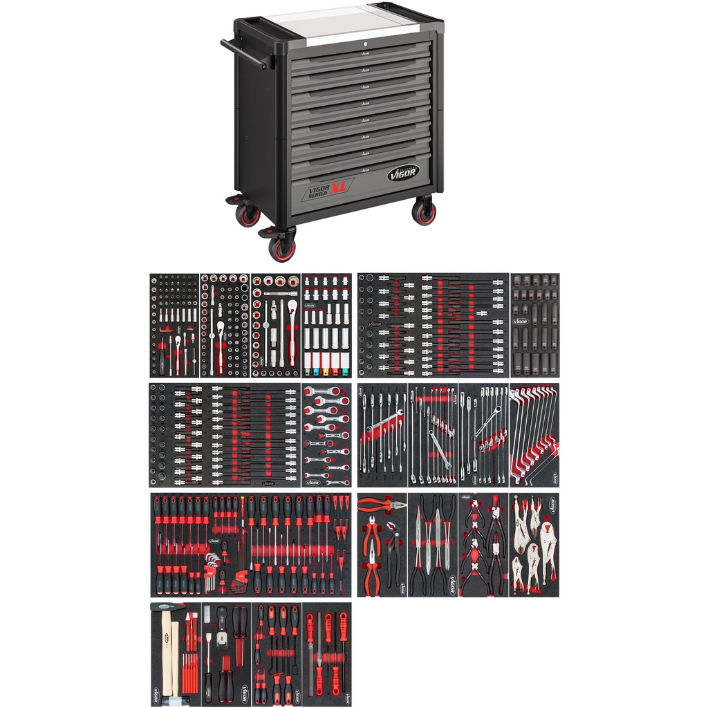 Series XL V4481-X/499, VIGOR
