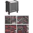 Series XD V4481-XD/469, VIGOR