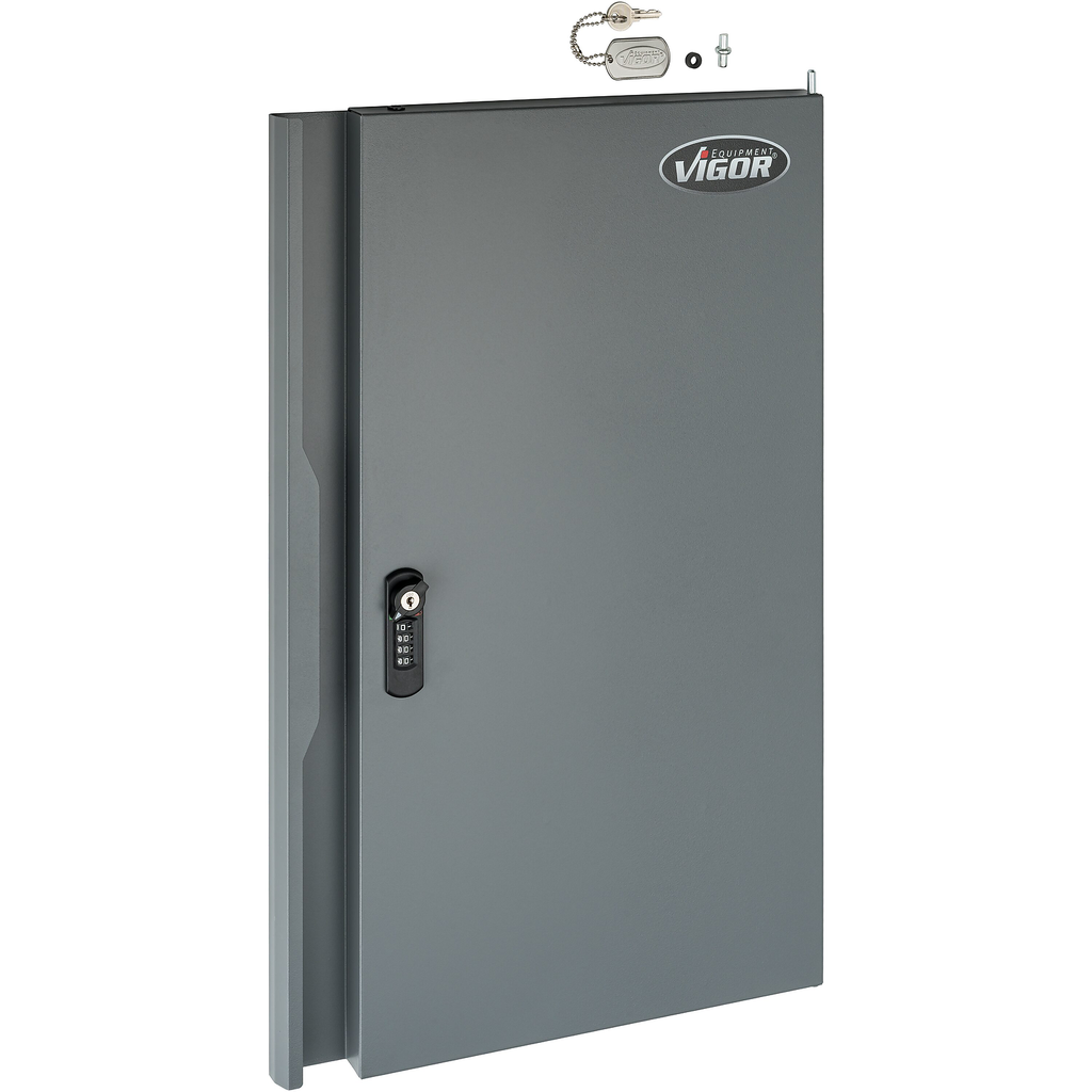 Replacement Door (V6000-046XL-TS, VIGOR)