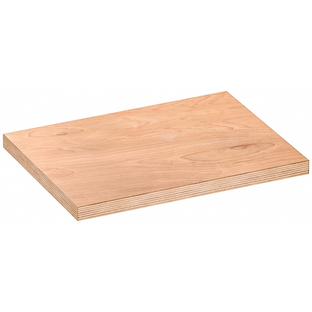 Darbastalio stalviršis, medinis (V6000-0676, VIGOR)