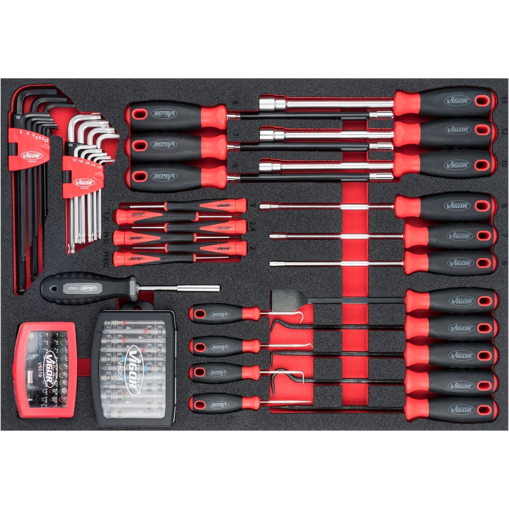 Screwdriver and bit set V6814, VIGOR