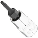 Atsuktuvo antgalis V7037-IP8, VIGOR