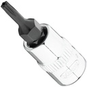 Apsauginė antgalinė galvutė TORX PLUS IPR10, 1/4 col. (V7037-IPR10, VIGOR)