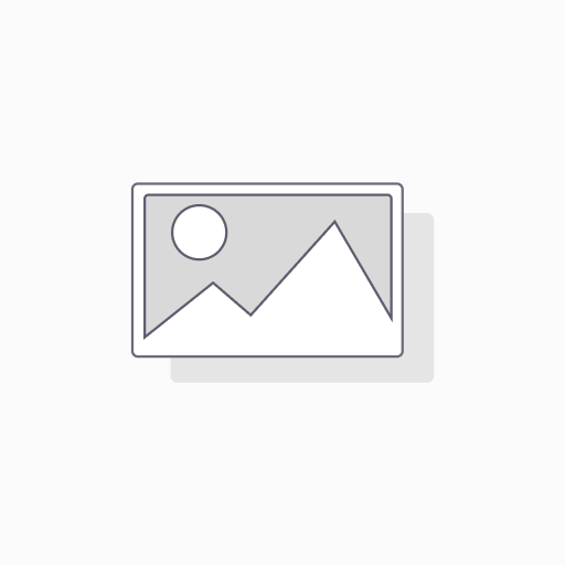 Ball-end hex bit socket, internal hex (HEX) 6 mm, 1/2" (V7055-H6, VIGOR)