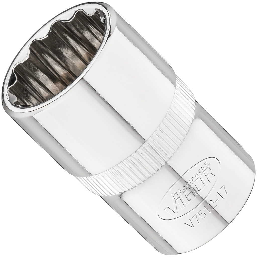 Socket V7512-17, VIGOR