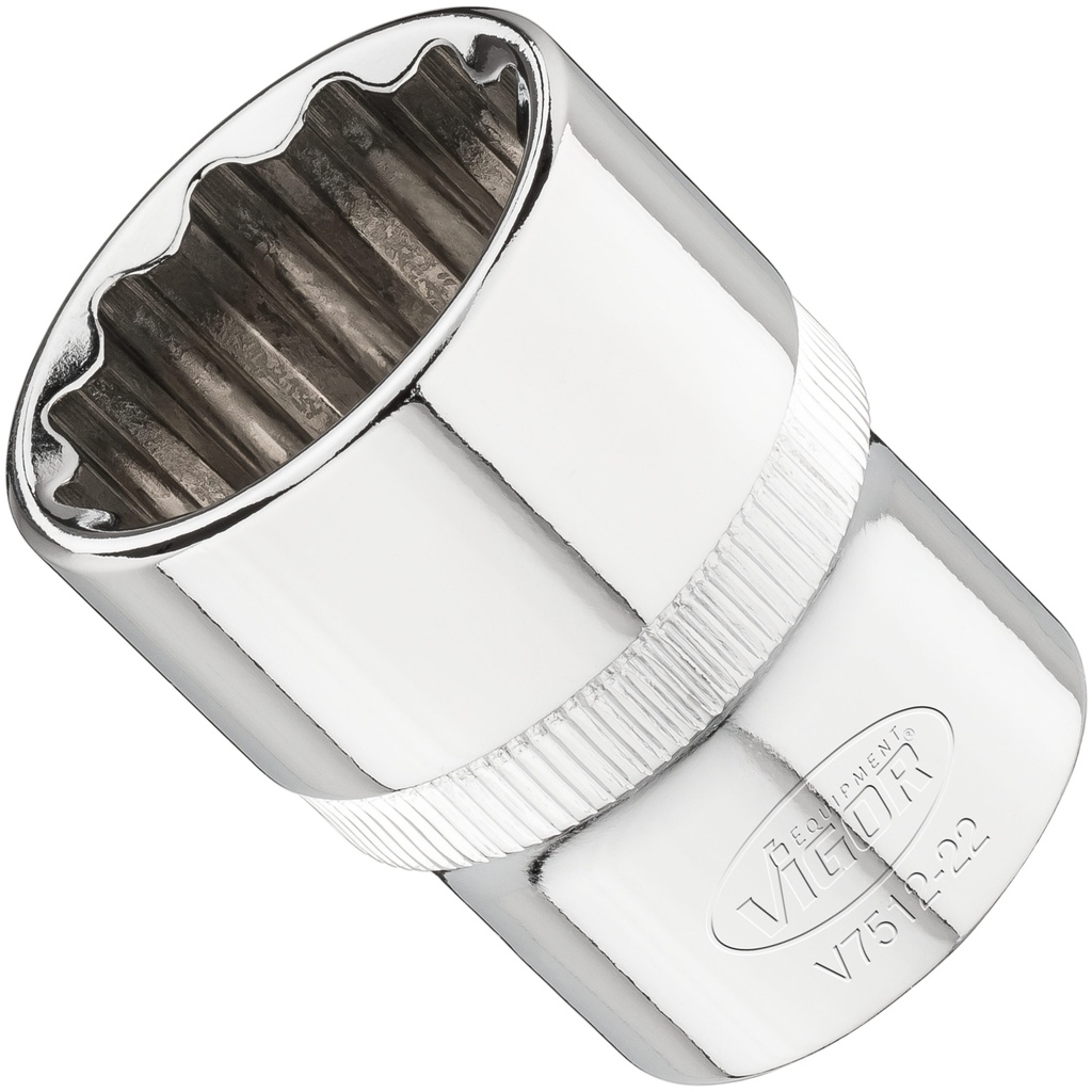 Galvutė V7512-22, VIGOR