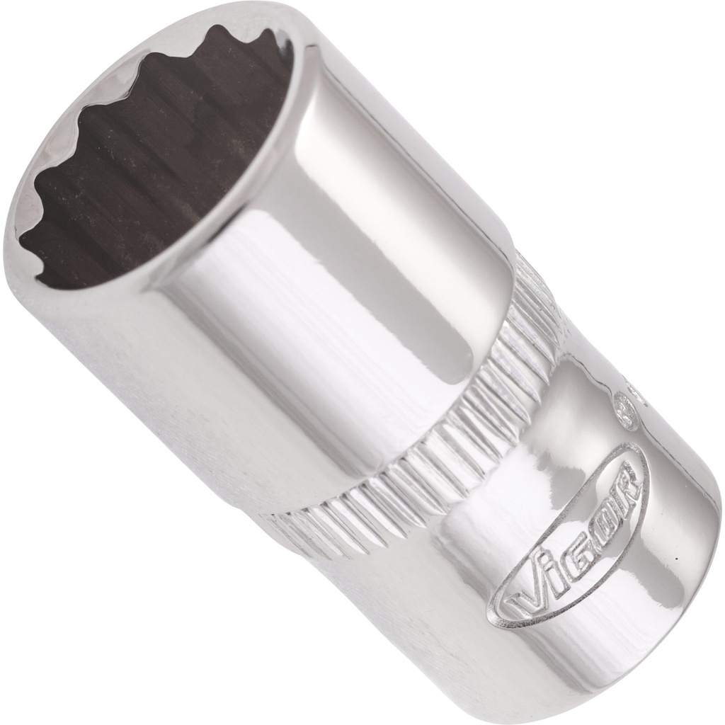 Galvutė V7514-10, VIGOR