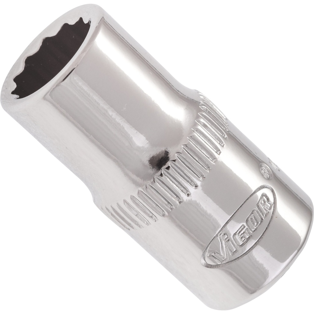 Galvutė V7514-7, VIGOR