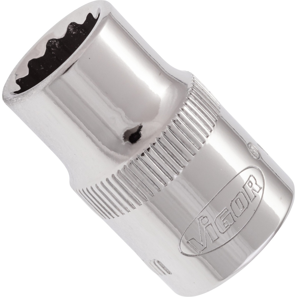 Socket V7538-10, VIGOR