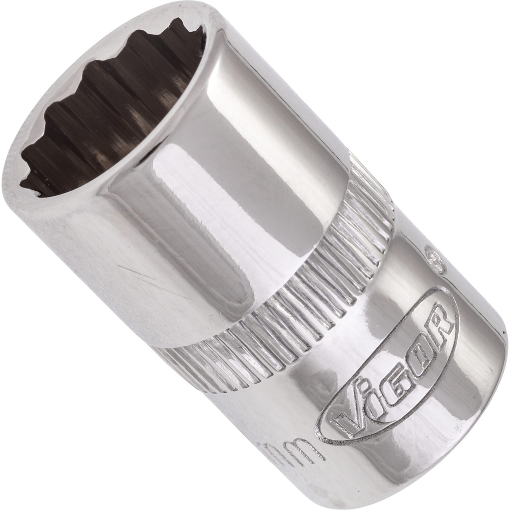 Socket V7538-12, VIGOR