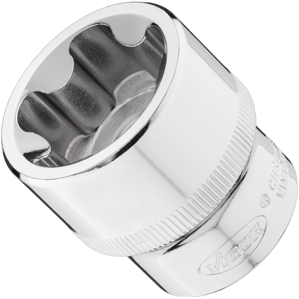 Socket V7920-EPR32, VIGOR