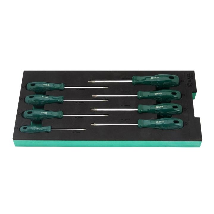 ⬡ Padėklas. Atsuktuvų rinkinys 8 vnt. (TORX) (ST09917G, SATA)