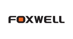 Foxwell diagnostika