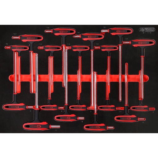 [811.1018] T-veida sešstūra un TORX atslēgu komplekts putuplasta ieliktnī, 18 gab. (811.1018, KS TOOLS)