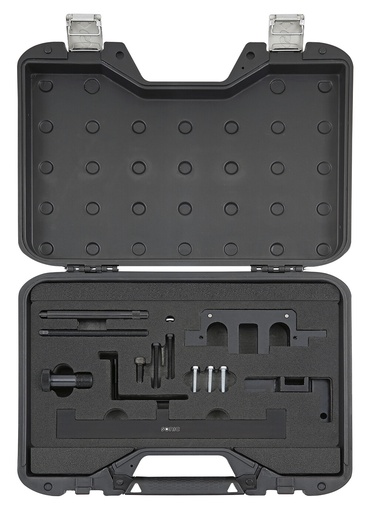 [829031] Engine Timing Locking Tool Set BMW Petrol N42/46 - 1.6/1.8/2.0 (829031, SONIC)