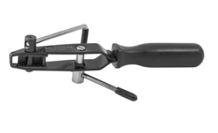 [ACBT] Replė sąvaržoms