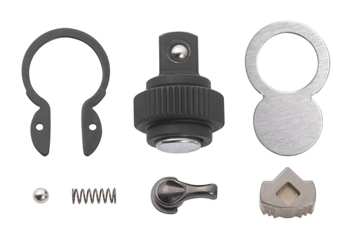 [R3603RK] Remonta komplekts 3/8" sprūdrata rokturim, 48 zobi (R3603RK, PRIDE)