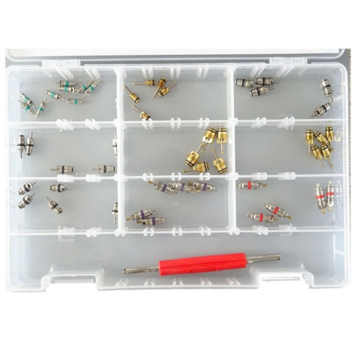 [RK1331] [RK1331] Ventilių komplektas oro kondicionavimo sistemoms, 50 vnt., su ventilio šerdies pašalinimo įrankiu, RK1331, ERRECOM