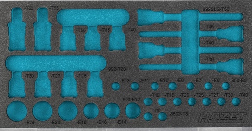 [163-587L] Two-component foam tool insert (163-587L, HAZET)
