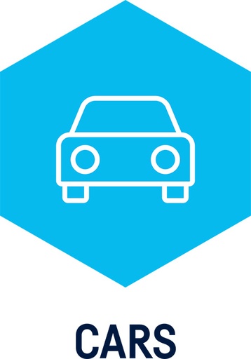 [W015061903] (CARS) Plus, Licencija prietaisui ICON 1 metams, Autocom [W015061903]