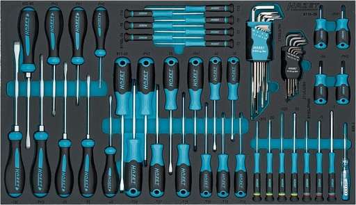 [163-480/57N] Screwdriver set, 57 pcs – slot, PH cross recess, inside hex, inside TORX (163-480/57N, HAZET)