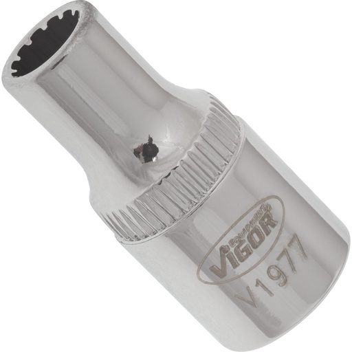 [V1977] Socket with multi-purpose profile ∙ size 5 mm (V1977, VIGOR)