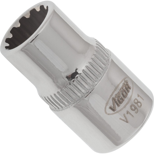 [V1981] Socket with multi-purpose profile ∙ size 8 mm (V1981, VIGOR)