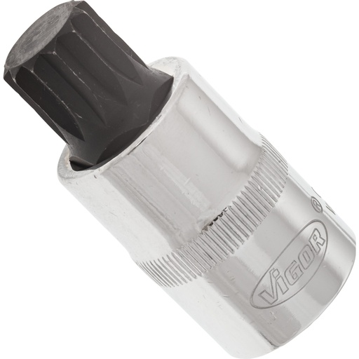 [V2100] Screwdriver socket for screws with internal serration (XZN) - size M16 (V2100, VIGOR)