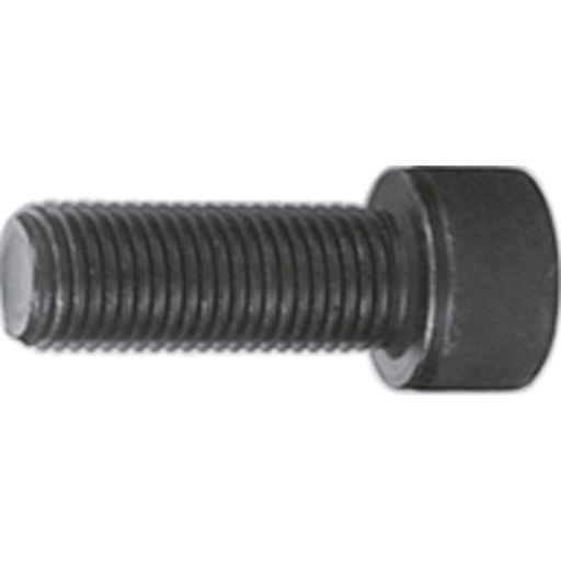 [V3263] Screw ∙ M22 x 60 mm V3263, VIGOR