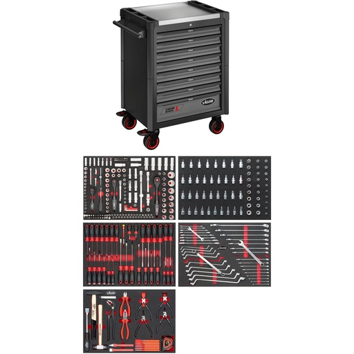 [V4560-X] Instrumentu ratiņi L sērija, ar instrumentu komplektu (V4560-X, VIGOR)
