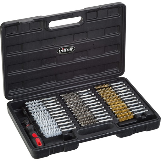 [V4646] Brush (cleaning) set (V4646, VIGOR)