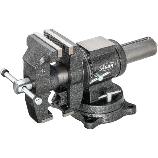 [V6150N] Vice V6150N, VIGOR