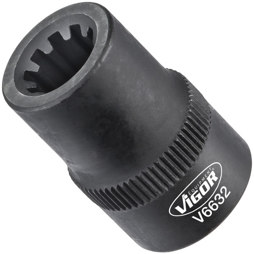 [V6632] Socket V6632, VIGOR