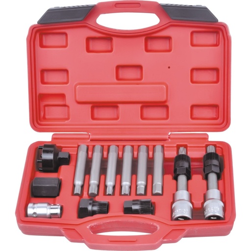 [WT04D2002] ⬡ Alternator pulley set 13pcs (WT04D2002)