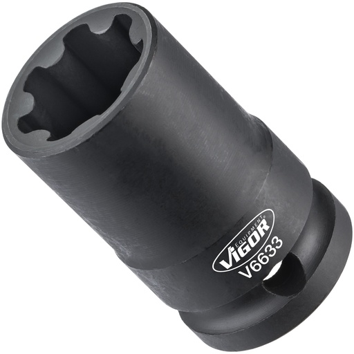 [V6633] Socket V6633, VIGOR