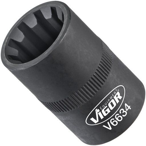 [V6634] Socket V6634, VIGOR