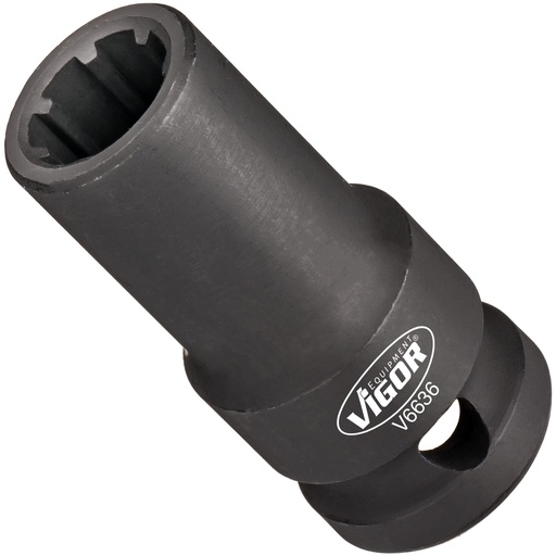 [V6636] Socket V6636, VIGOR