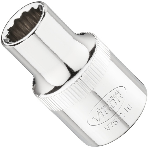 [V7512-10] Galvutė V7512-10, VIGOR