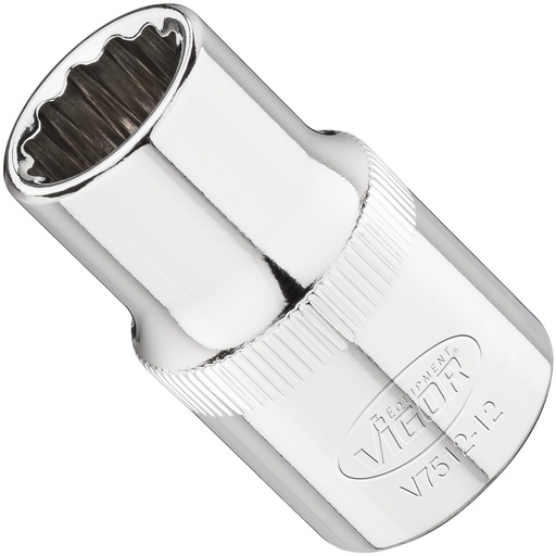 [V7512-12] Galvutė V7512-12, VIGOR
