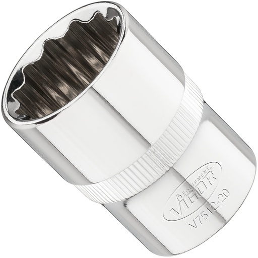 [V7512-20] Galvutė V7512-20, VIGOR