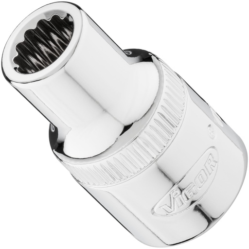 [V7512-9] Galvutė V7512-9, VIGOR