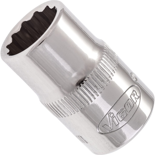 [V7538-11] Galvutė V7538-11, VIGOR