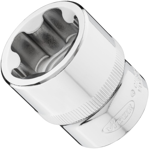 [V7920-EPR30] Galvutė V7920-EPR30, VIGOR