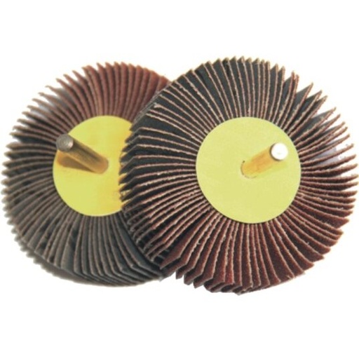 [FAFW3025680] ⬡ Lapelinis diskas su kotu, aliuminio oksido, 30x25x6 mm Nr. 80 (FAFW3025680, GRASSLAND)